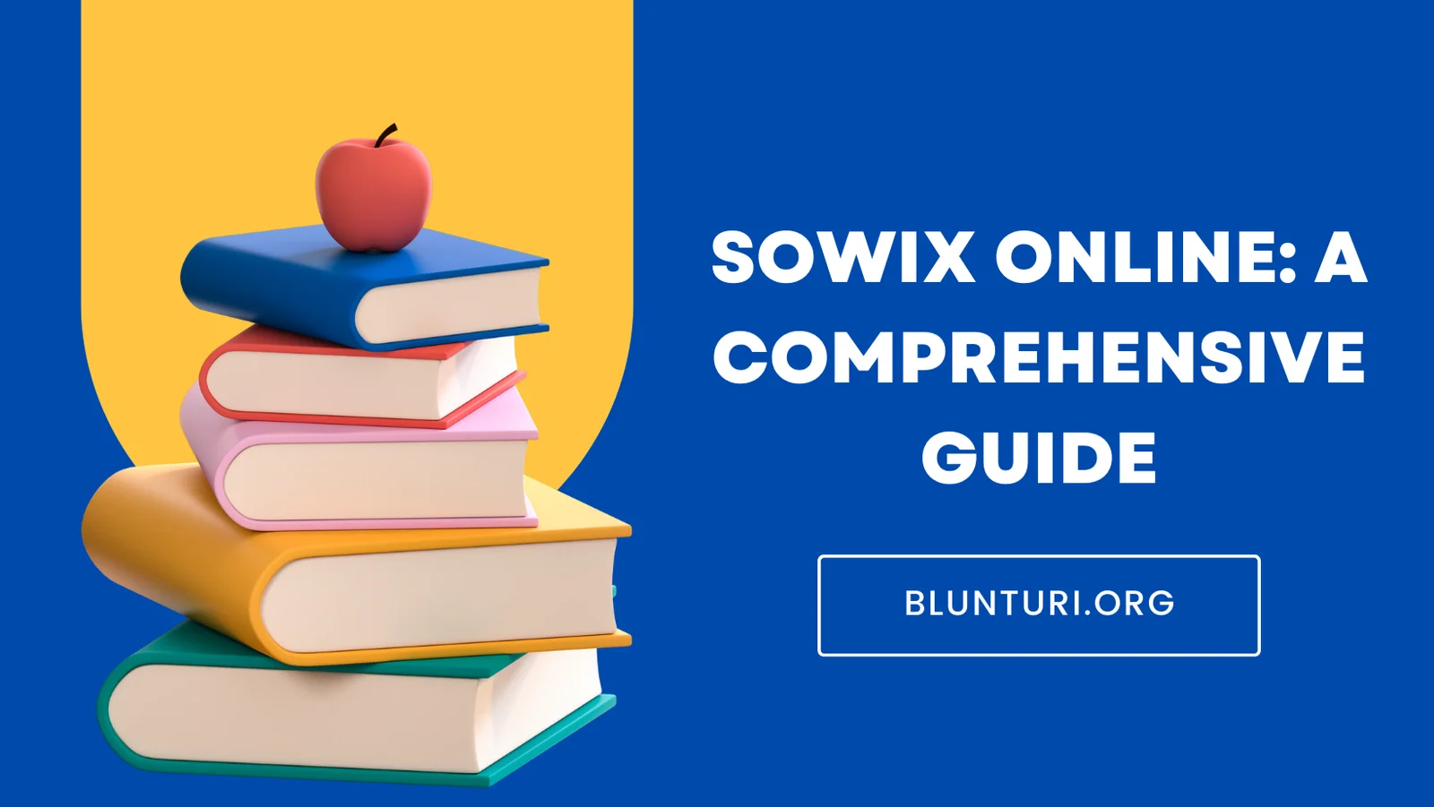 How to Get Started with Sowix Online